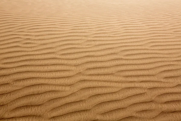 Pouště písečných dun v maspalomas na ostrově gran canaria — Stock fotografie
