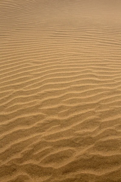 Pouštní duny v maspalomas gran canaria — Stock fotografie