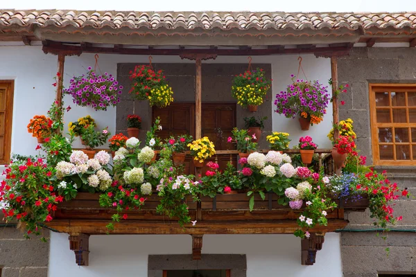 Gran canaria teror flower pot balkong — Stockfoto