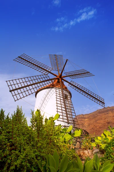 El molino de mogan historische Windmühle — Stockfoto