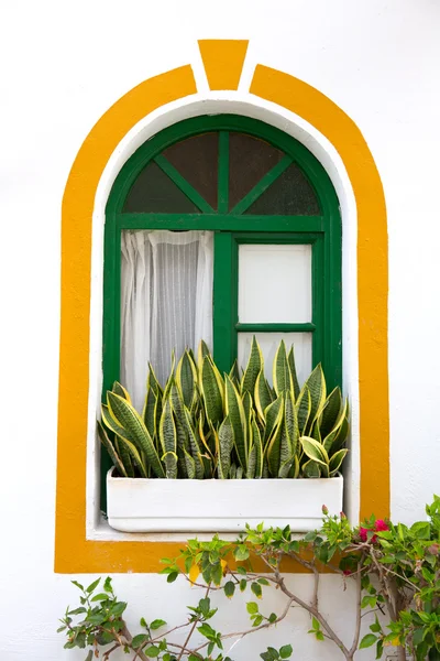 グラン カナリア島プエルト ・ デ ・ モガン白い家します。 — ストック写真