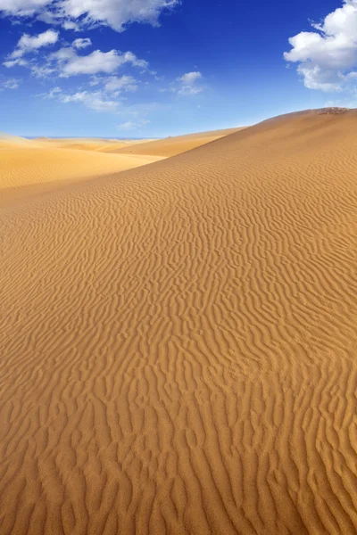 Pouště písečných dun v maspalomas na ostrově gran canaria — Stock fotografie