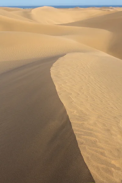 Pouště písečných dun v maspalomas na ostrově gran canaria — Stock fotografie