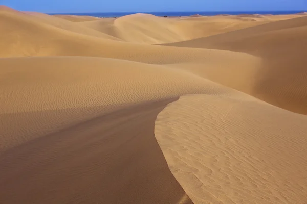 Pouště písečných dun v maspalomas na ostrově gran canaria — Stock fotografie