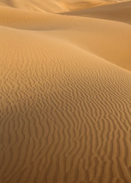 Έρημος αμμόλοφους σε maspalomas Γκραν Κανάρια — Φωτογραφία Αρχείου