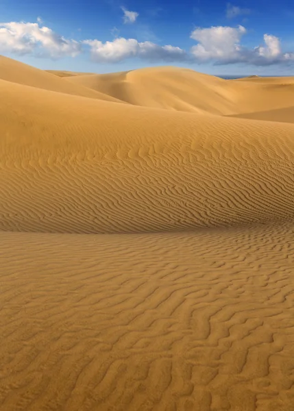 Desert sand dunes in Maspalomas Gran Canaria — Stock Photo, Image