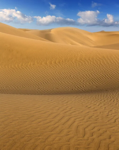 Desert zandduinen in maspalomas gran canaria — Stockfoto