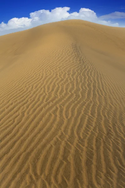 Pouště písečných dun v maspalomas na ostrově gran canaria — Stock fotografie