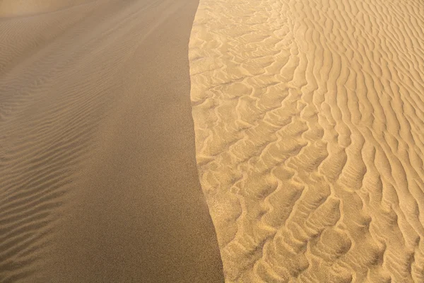 Desert sand dunes in Maspalomas Gran Canaria — Stock Photo, Image