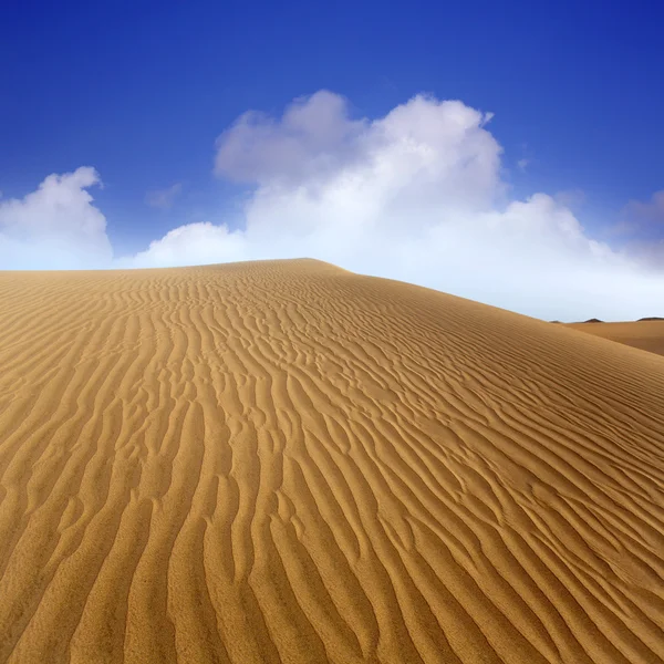 沙漠沙丘在马斯帕洛马斯大加那利岛 — 图库照片