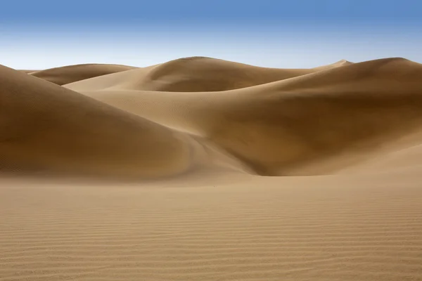 Öknens sanddyner sand i maspalomas gran canaria — Stockfoto