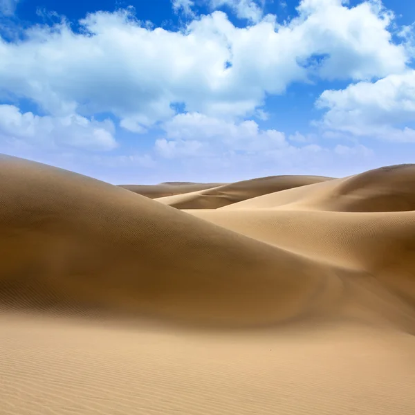 Αμμόλοφους της ερήμου άμμου σε maspalomas Γκραν Κανάρια — Φωτογραφία Αρχείου