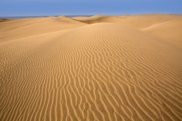 Pouštní duny písku v maspalomas na ostrově gran canaria — Stock fotografie