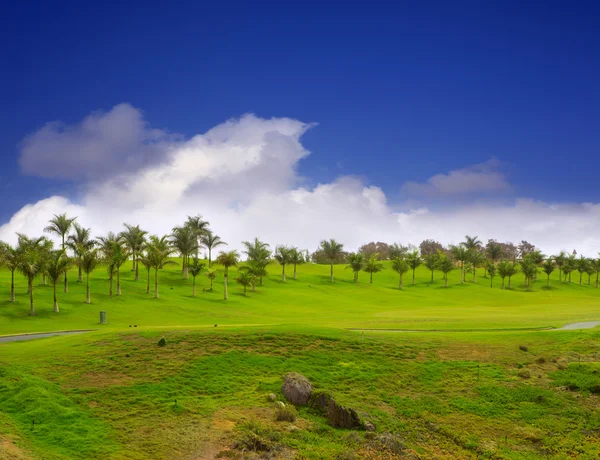 グラン カナリア島メロネラス ゴルフ緑の芝生 — ストック写真