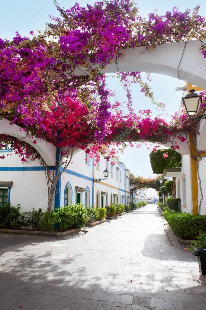 Gran canaria Puerto de Mogan white houses