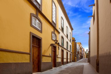 Las palmas de gran canaria veguetal evleri