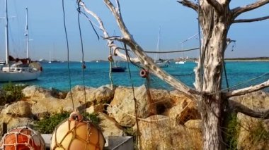 Formentera la sabina ile kuru bir ağaca asılı balıkçıların ağları ve şamandıralar ve yelkenli