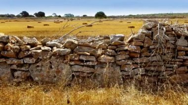 buğday çim duvar Kuru dallar geleneksel taş duvar formentera Balear adaya kurutulmuş
