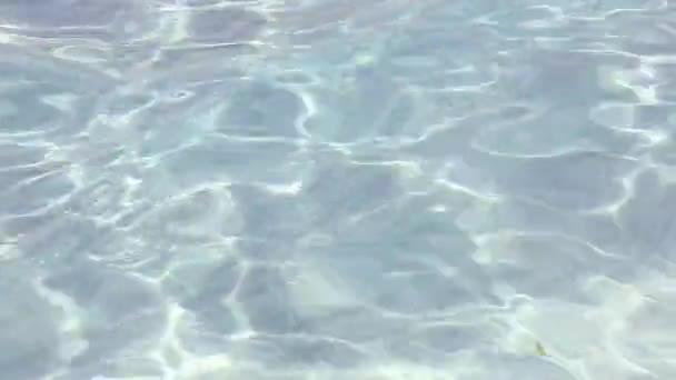 리플 및 물결 모양 물 반사 바닥 아름 다운 해안 비치 — 비디오