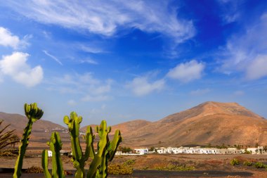 Lanzarote Yaiza with cactus and mountains clipart