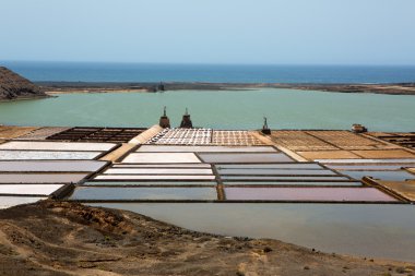 Lanzarote tuz fabrikası Salinas de Janubio