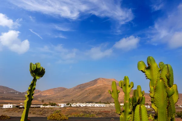 Lanzarote Yaiza con cactus y montañas — Foto de Stock
