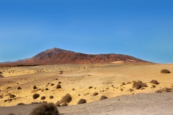 Ajaches гора в Лансароте Пунта Papagayo — стокове фото