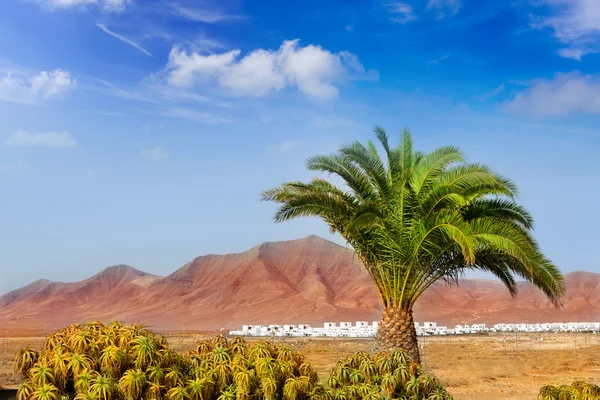 Montaña Ajaches en Lanzarote Punta Papagayo — Foto de Stock