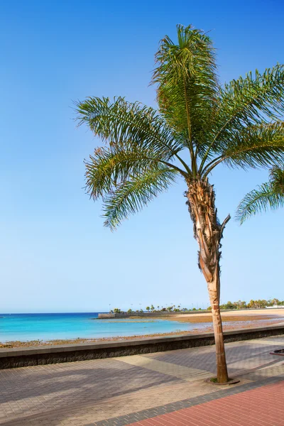 Arrecife Lanzarote Playa del Reducto beach — Stock Photo, Image