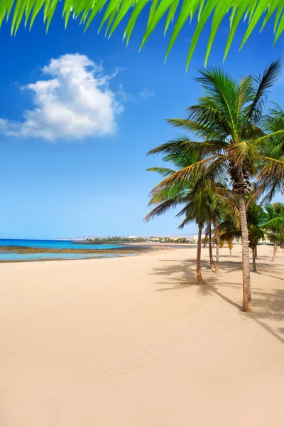 Arrecife Lanzarote Playa Playa Reducto palmeras — Foto de Stock