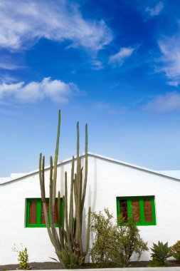 Lanzarote Teguise white and cactus village clipart