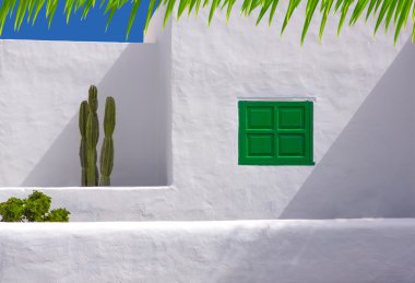 Lanzarote san bartolome beyaz tipik kaktüs evi