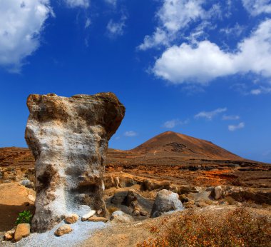 Guatiza teguis stones volcanic Lanzarote clipart