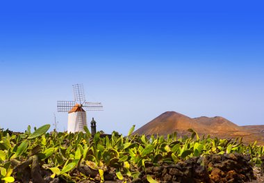 Lanzarote Guatiza cactus garden windmill clipart