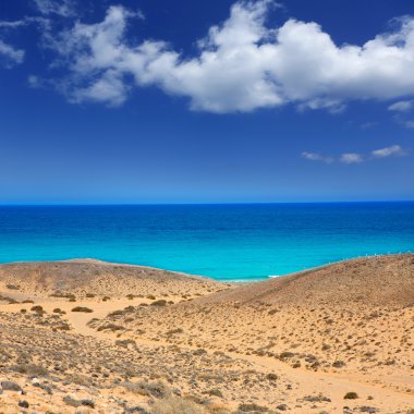 Lanzarote Güney punta papagayo denizde kanaryalar