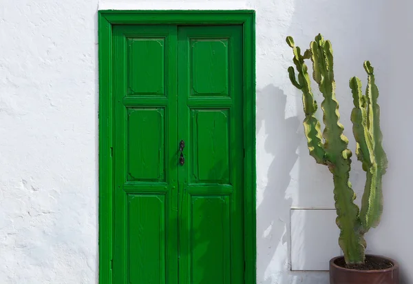 Lanzarote teguise grön dörr och kaktus — Stockfoto