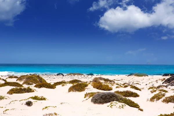 Lanzarote Orzola white sand beach in Canaries — Stock Photo, Image