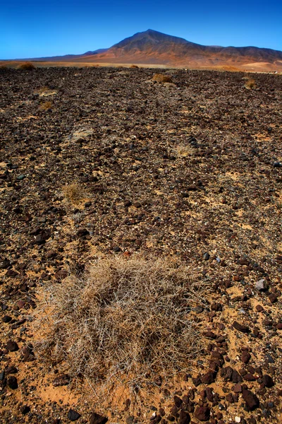 Lanzarote punta papagayo en het ajaches gebergte — Stockfoto