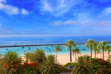 Kuzey Beach las teresitas santa cruz de Tenerife