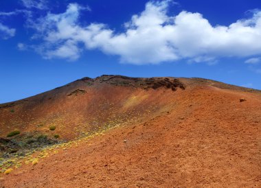 Kanarya Adaları tenerife teide Milli Parkı'nda