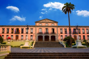 Ayuntamiento square in La Orotava Tenerife clipart