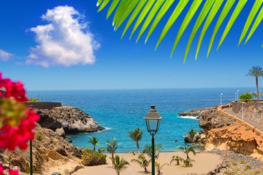 plaj playa paraiso costa adeje Tenerife