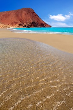 Beach Playa de la Tejita in Tenerife clipart