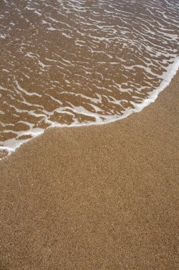 kahverengi kum ve temiz su ile tropikal plaj