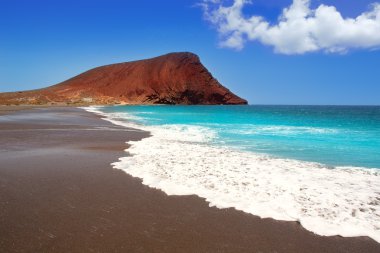 Beach Playa de la Tejita in Tenerife clipart