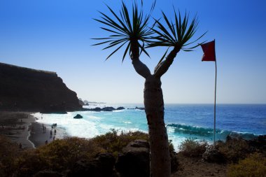Beach el Bollullo black sand from Draco agave