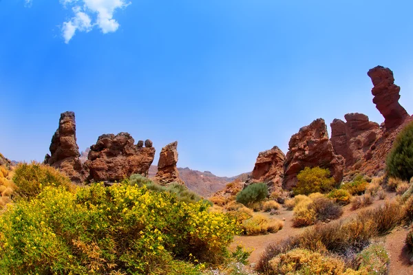 Canary islands in Tenerife Teide National Park — Stock Photo, Image
