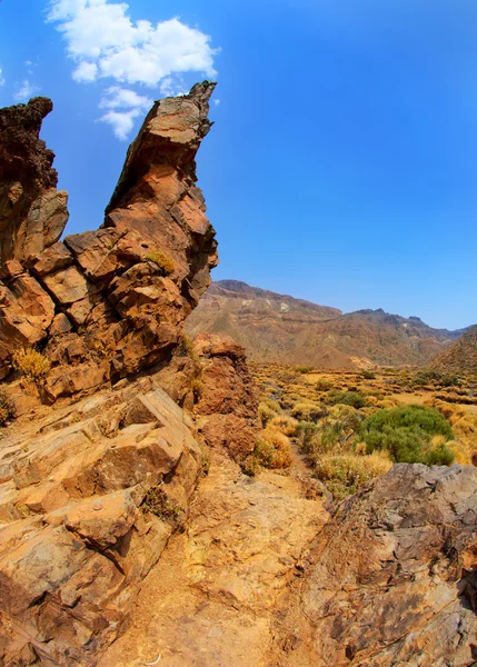 Kanarische Inseln im Teneriffa Teide Nationalpark — Stockfoto