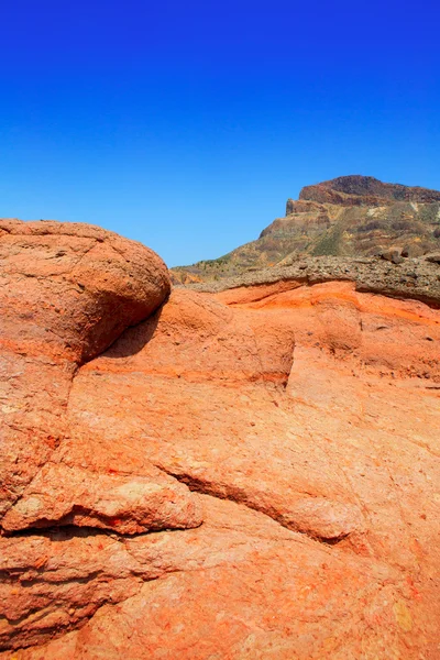 Kanarya Adaları tenerife teide Milli Parkı'nda — Stok fotoğraf