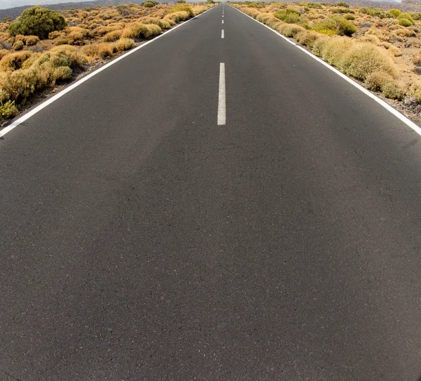 Primer plano de la carretera que se desvanece en infinito — Foto de Stock